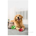 Rugby à balle de jouet de chien interactif en caoutchouc creux